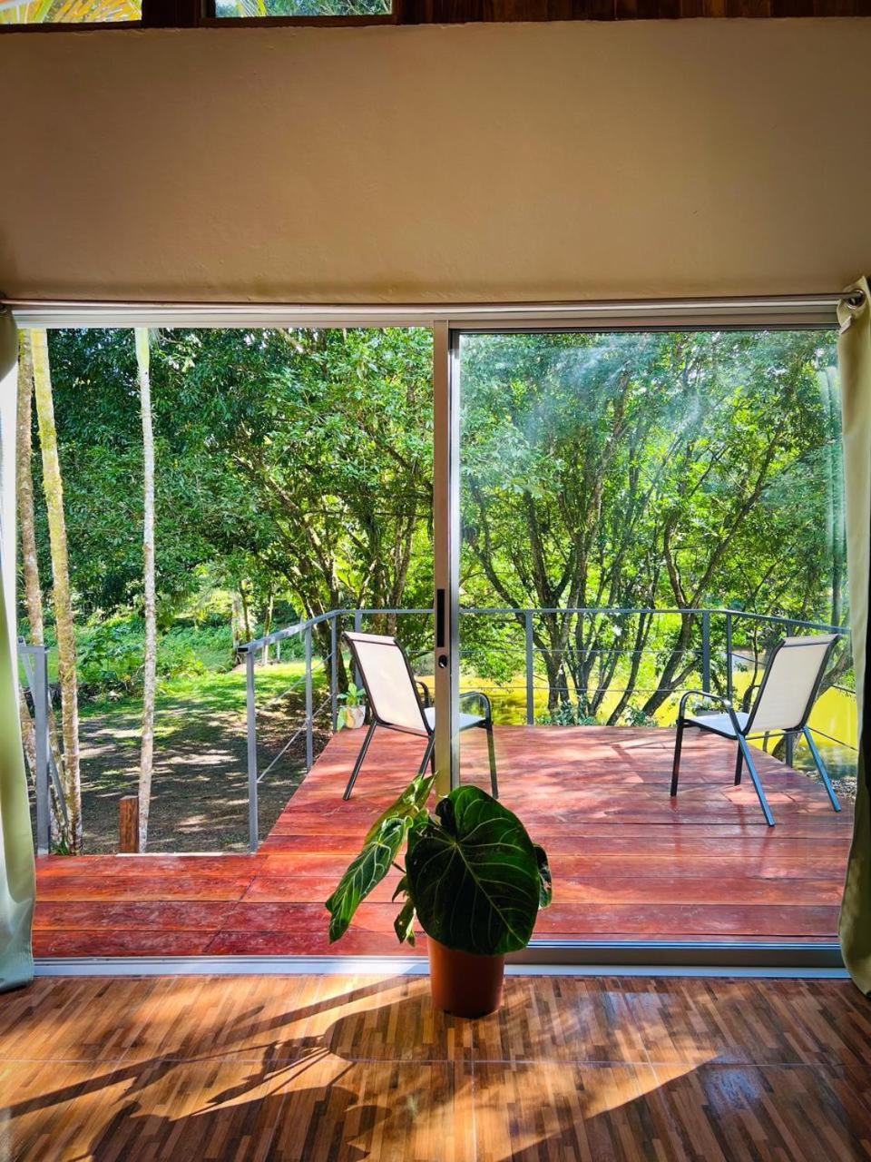 Ficus House Lägenhet Boca Tapada Exteriör bild