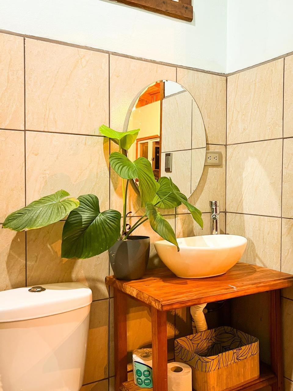 Ficus House Lägenhet Boca Tapada Exteriör bild